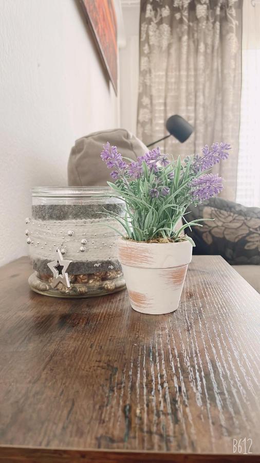 Apartamento Calipso Plus 살루 외부 사진